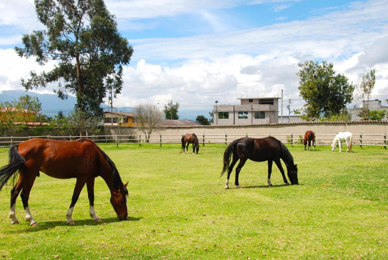 Hotel Hacienda Cusin Otavalo Zewnętrze zdjęcie